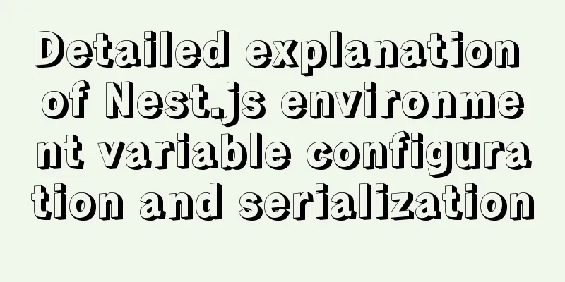 Detailed explanation of Nest.js environment variable configuration and serialization