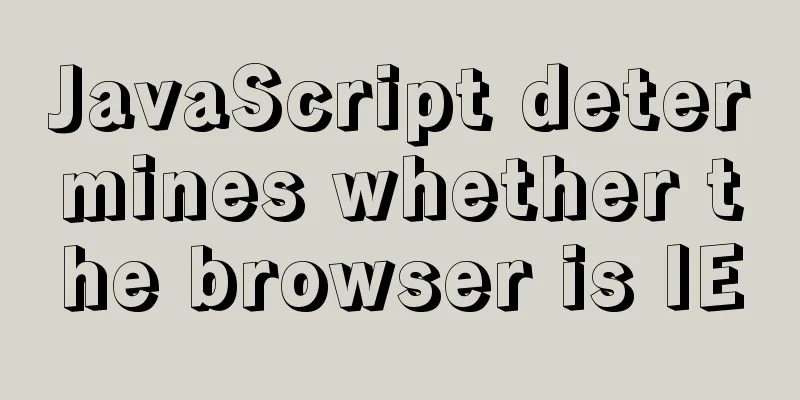 JavaScript determines whether the browser is IE