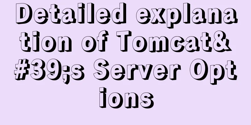 Detailed explanation of Tomcat's Server Options